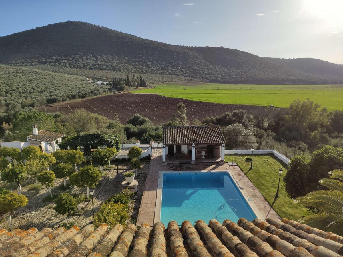 Finca Las Rosas De Santa Ana Villamartín Eksteriør billede