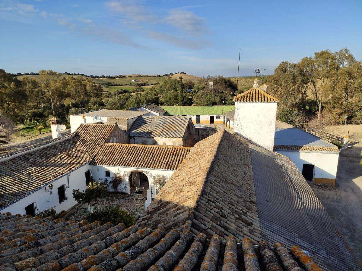 Finca Las Rosas De Santa Ana Villamartín Eksteriør billede