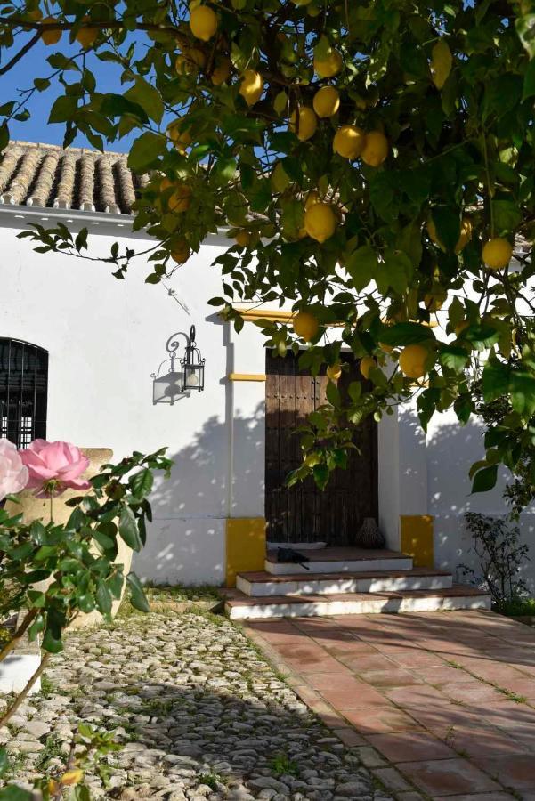 Finca Las Rosas De Santa Ana Villamartín Eksteriør billede
